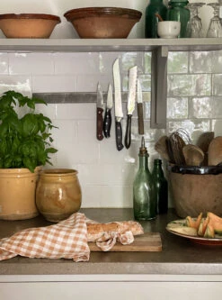 Gingham Geruite Keukenhanddoek 70x50 Cm -Home Textielwinkel 570272 01 9 EnvironmentImage b550027180